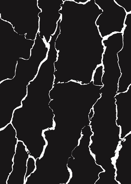 Platinum Black