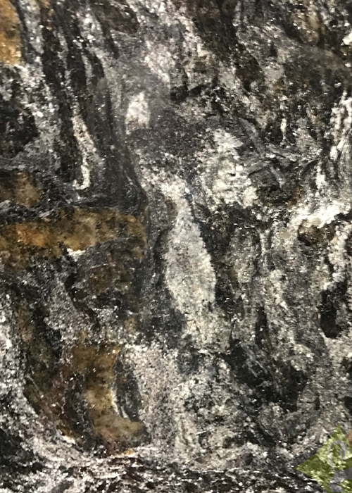 Cosmus